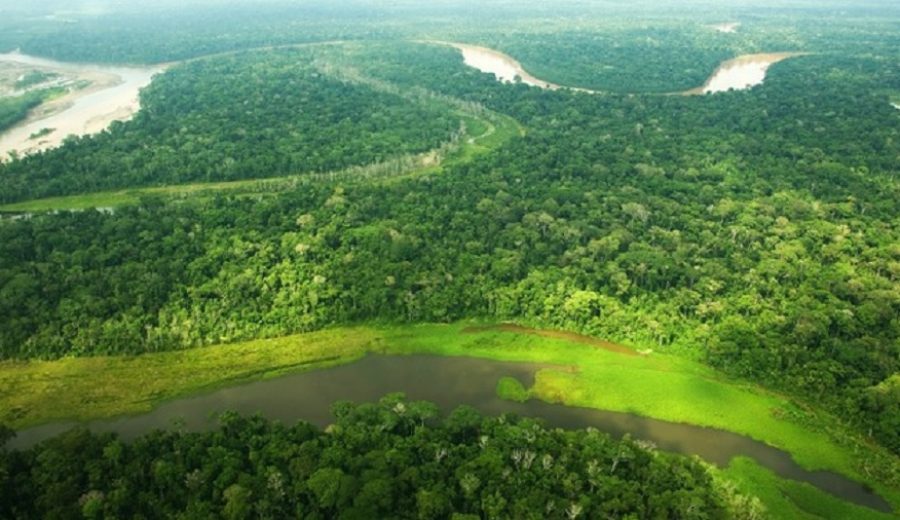MIDAGRI implementará Programa de Gestión Sostenible de Producción Forestal de casi S 513 millones en nueve regiones del país