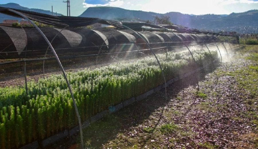MIDAGRI impulsa gestión de recursos hídricos en microcuencas en beneficio de productores de la Agricultura Familiar
