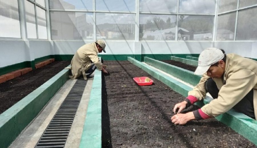 MIDAGRI incrementará producción de semillas de papa certificadas con moderno laboratorio en Ayacucho