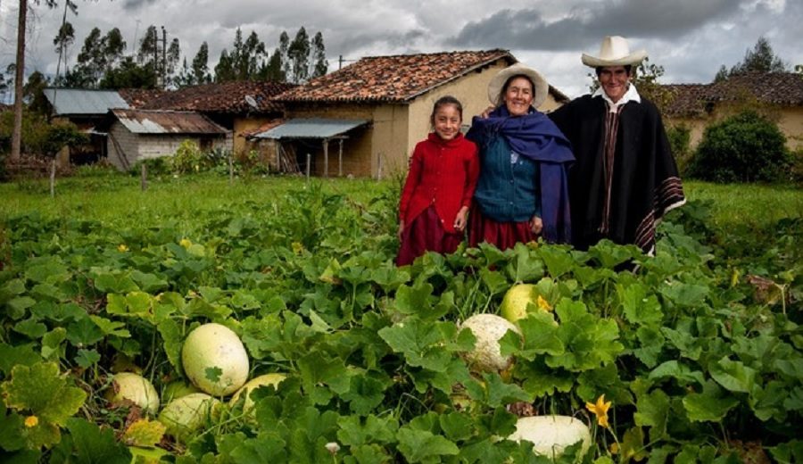 MIDAGRI publica proyecto de reglamento de marca Agricultura Familiar del Perú para recibir comentarios y sugerencias