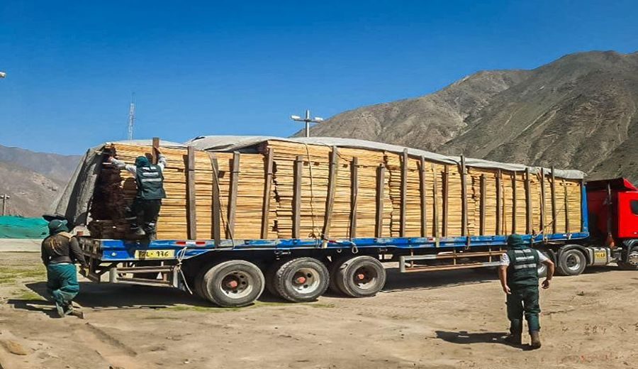 Madera ilegal: Inmovilizan cargamento de Ucayali en Lima