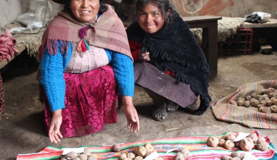 Marcapata Ccollana conoce la nueva estrella de la agrobiodiversidad del Perú
