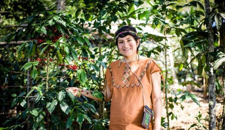 María del Rosario Mucha, fundadora de Café Bambú “Hay que promover más el consumo del café peruano”