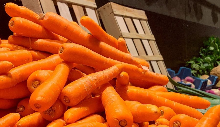 Midagri Establecen requisitos para importación de semillas de zanahoria de Chile