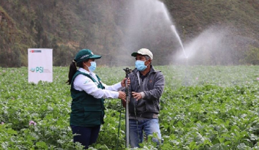 Midagri capacitará en sistemas de riego a agricultores de Cajamarca y Ayacucho