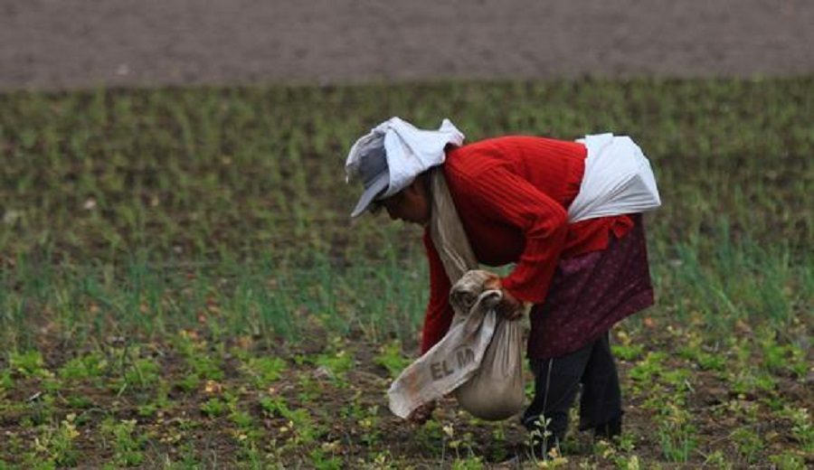 Midagri crea grupo de trabajo sin participación del sector privado para segunda reforma agraria