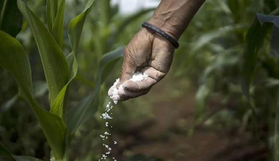 Midagri importará fertilizantes de Bolivia con miras a la campaña agrícola 2021-2022