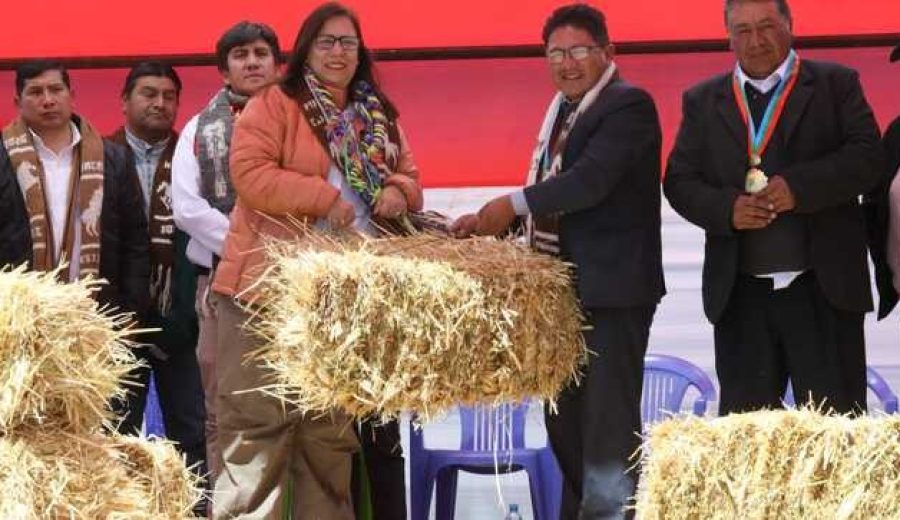 Ministra Nelly Paredes encabezó entrega de un millón y medio de kilos de alimentos para el ganado en Puno