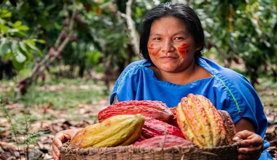 Mujeres Rurales en Perú: Desafíos Revelados, Oportunidades Ignoradas