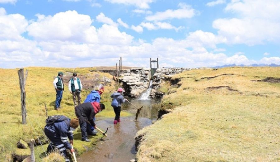 Pasco MIDAGRI realizó limpieza de canales de riego beneficiando a 470 familias dedicadas a la agricultura y ganadería