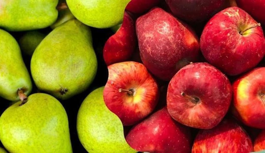 Perspectivas fructíferas: Proyecciones de cosecha de manzanas y peras en el hemisferio sur