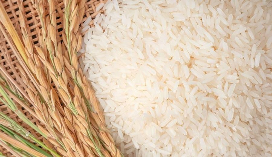 Perú aumenta importaciones de arroz: ¿Un cambio estratégico?