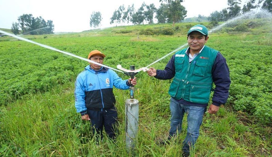Perú avanza hacia una agricultura resiliente con Programa Nacional de Riego Tecnificado