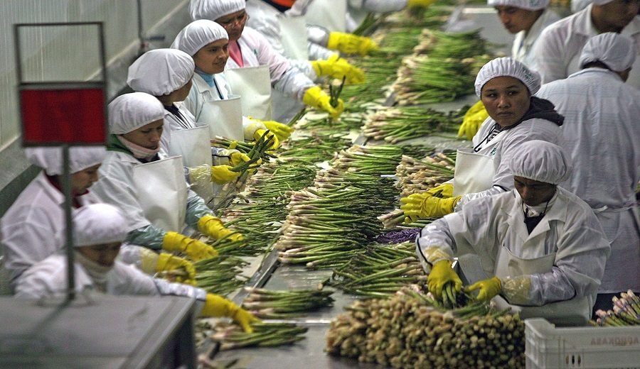 Perú comienza a distinguirse como gran proveedor mundial de alimentos