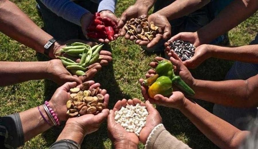 Perú en la Ruta hacia la Sostenibilidad Alimentaria