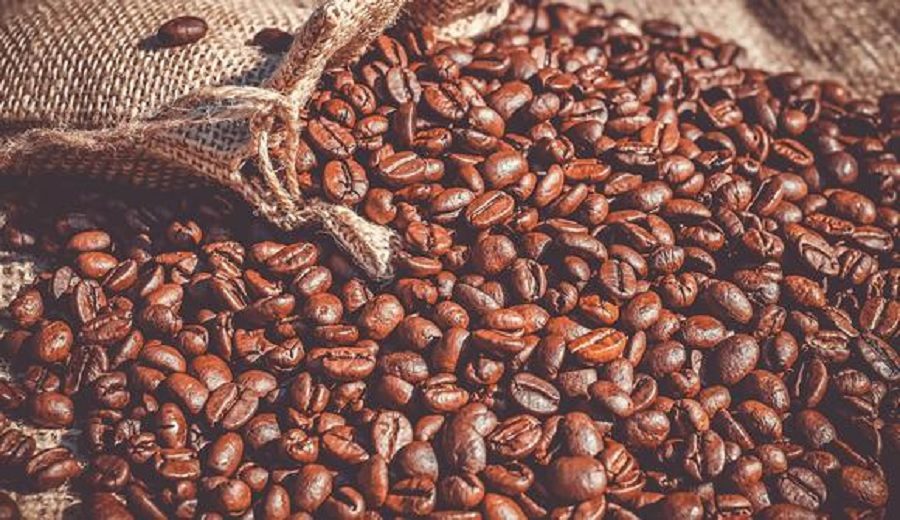 Perú se consolida como octavo exportador mundial de café, según Midagri
