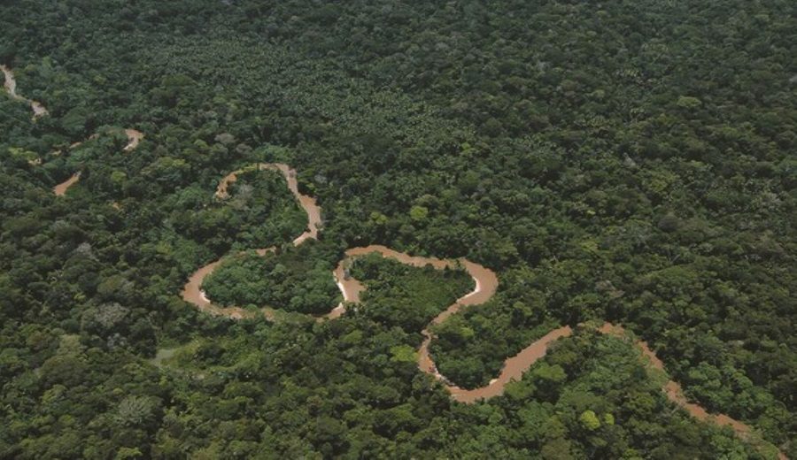 Perú suscribe la declaración sobre bosques y uso de la tierra en la COP26