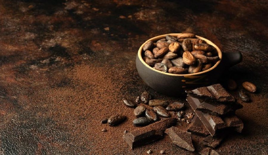 Productores de La Pampa comercializan 100 toneladas de cacao a empresa transnacional