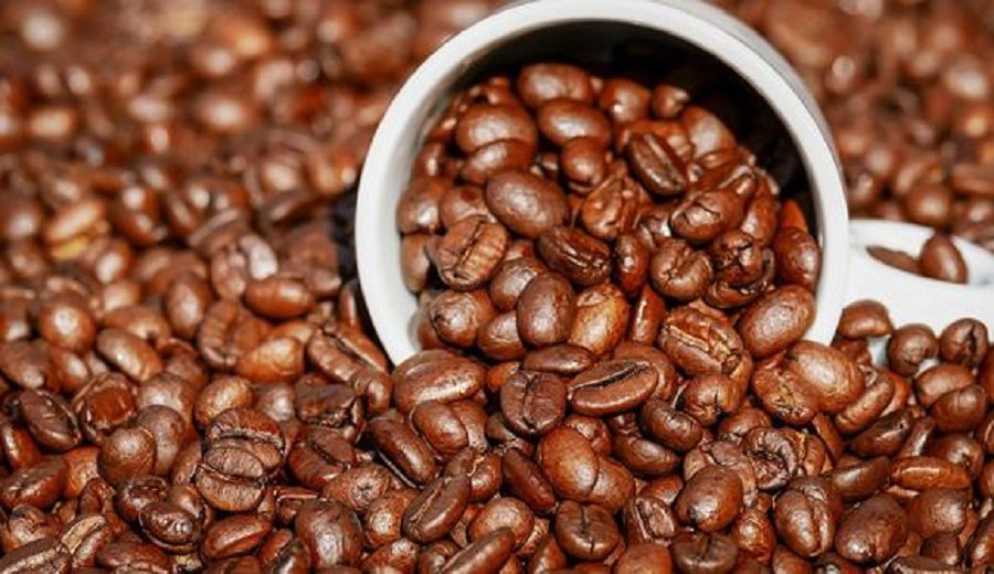 Productores nacionales de café se ven favorecidos por alza del precio internacional, afirma JNC