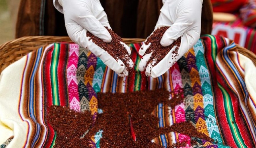 Quinua es el grano andino más vendido con 20 toneladas en los Mercados Midagri “De la Chacra a la Olla 2021”
