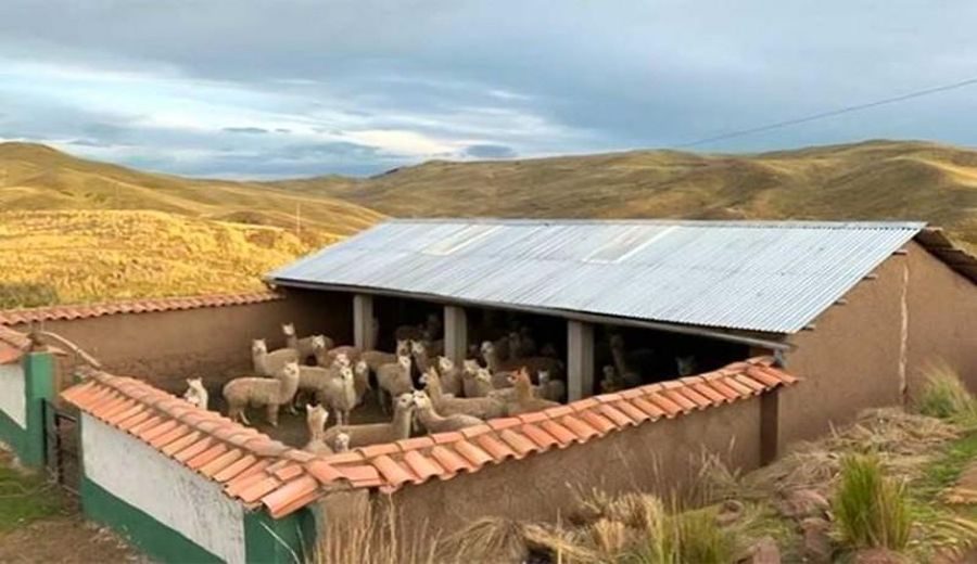 Refugios para Ganado: Protección Vital en Zonas Altoandinas