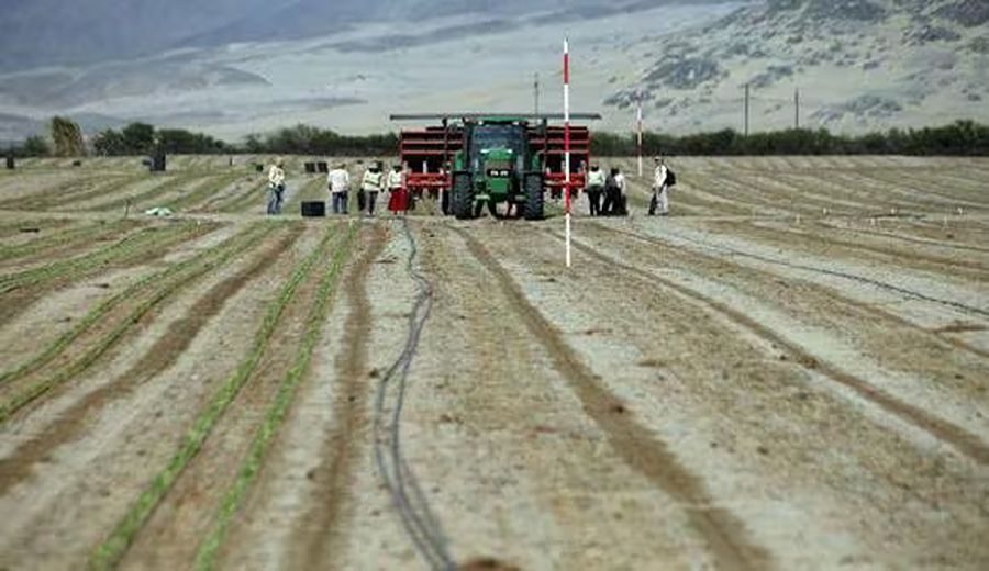 Resurgimiento Agrícola: Proyectos Hidroagrícolas Transformadores en la Región Andina