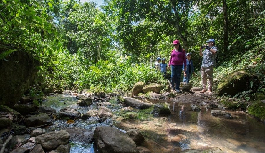San Martín apuesta por la recuperación de bosques para proteger sus fuentes de agua