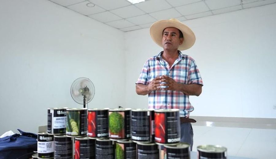 Semillas de Esperanza: Midagri entrega hortalizas a agricultores afectados