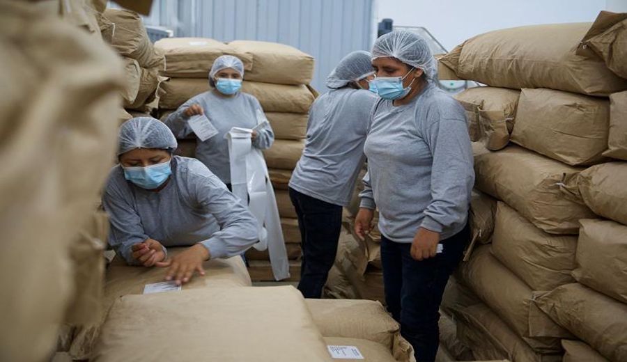 Simbiosis Perú Triunfa: Exporta Seis Toneladas de Hongos a Francia en un Histórico Avance