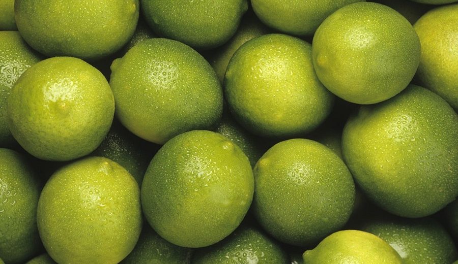 Solo entre enero y febrero, Perú exportó US$ 2.6 millones en cáscaras de limón