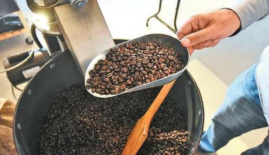 Suministros globales de café serán ajustados hacia final de temporada 2021-2022, señalan analistas