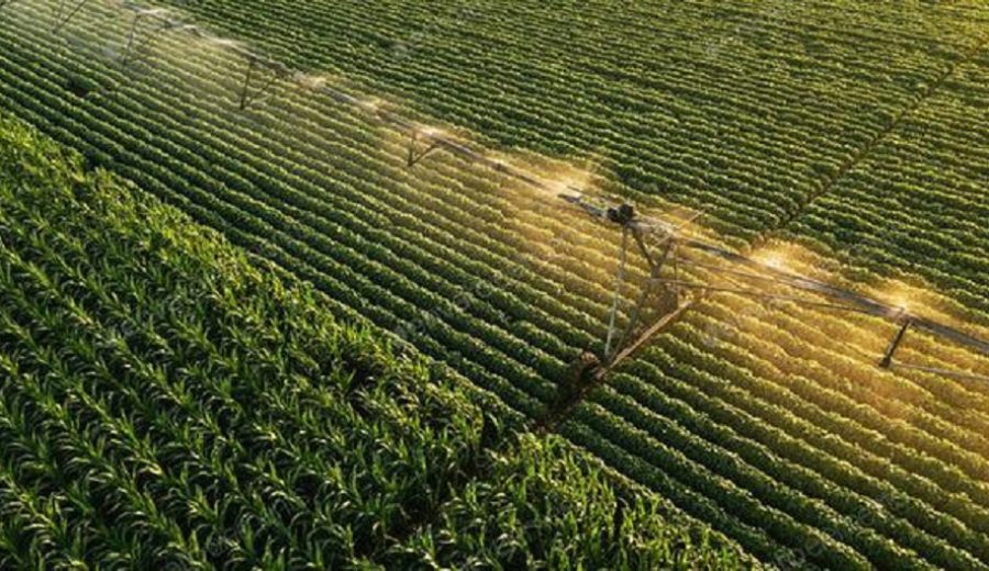 Tecnologías en la agroindustria optimizan hasta en 20% recursos hídricos y consumos energéticos