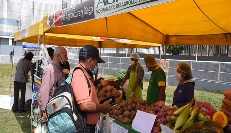 Tesoros de la Tierra: Feria Agraria Uniendo Productores y Consumidores