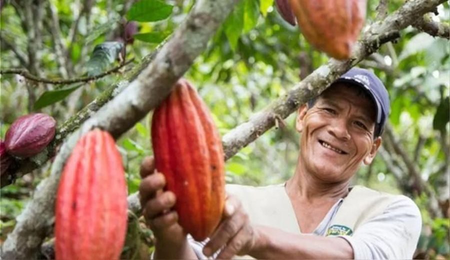 Trazando un Futuro Sostenible: Biocrédito Impulsa la Agricultura Responsable en Perú