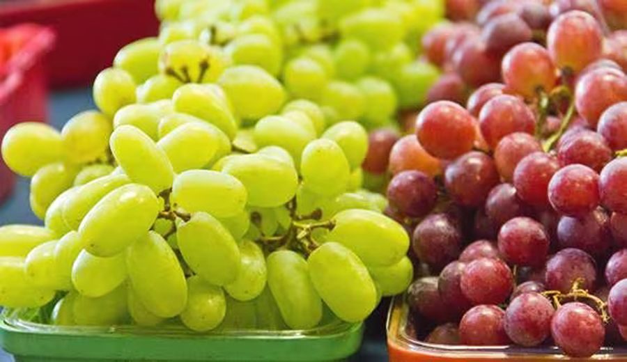 Unifrutti adquiere Verfrut: Expansión global en frutas premium