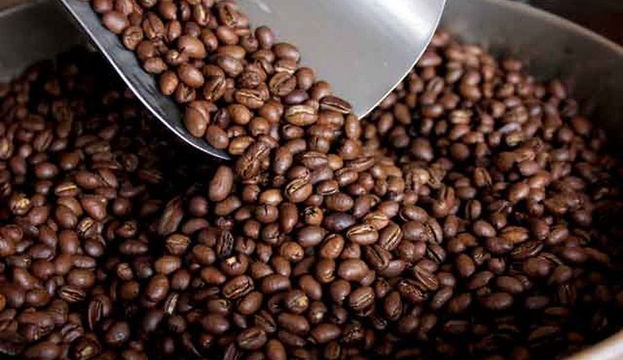 Volumen de exportaciones de café cayó 13,7% entre enero a julio de este año