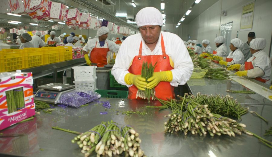 httpwww.agronline.penoticiasindustria-de-alimentos-generara-4-2-millones-de-empleos-en-2021