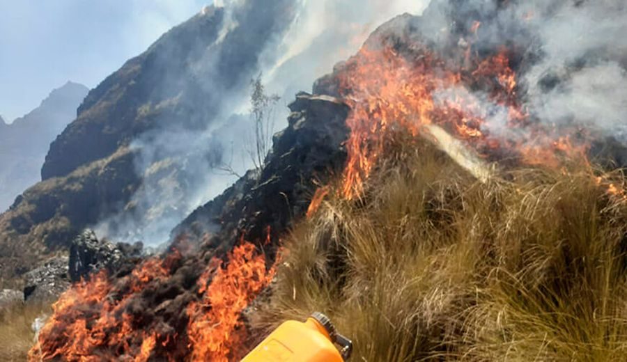 ¡Alto al fuego! Buscan disminuir incendios forestales en el Parque Nacional Huascarán