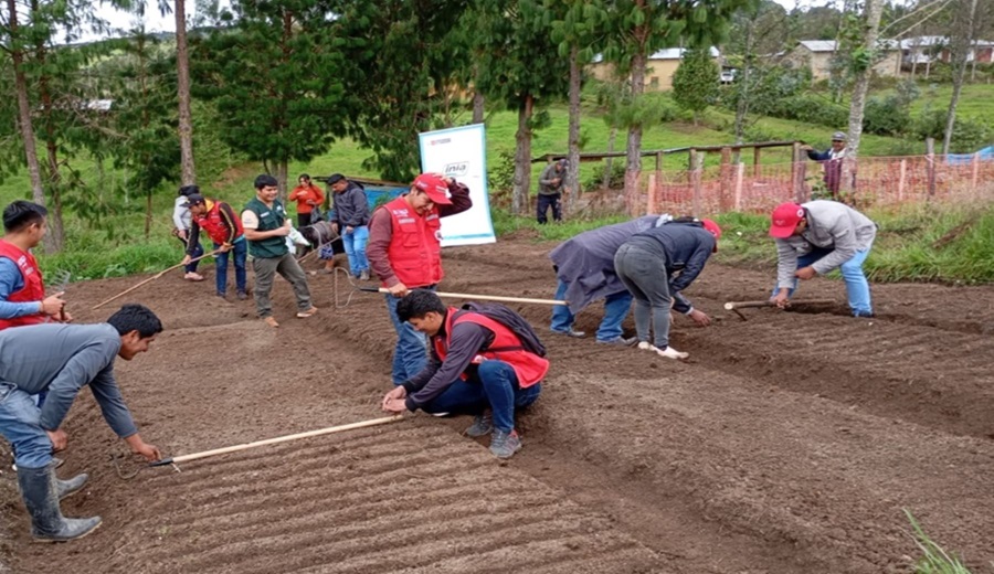 MIDAGRI fortalece a más de 200 mil productores agrarios como líderes de cadenas de valor con enfoque agroexportador