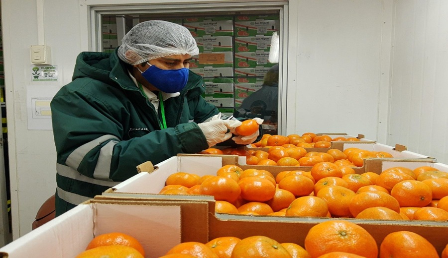 PROMPERÚ Misión comercial agroexportadora fortalecerá presencia de productos peruanos en Arabia Saudita