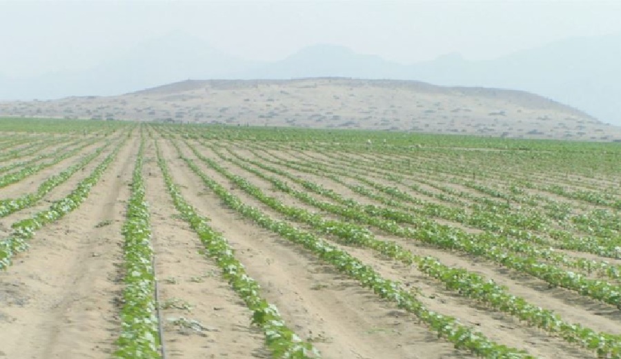 Agricultores y comuneros conozcan sus derechos bajo la nueva Ley 32339 del Congreso