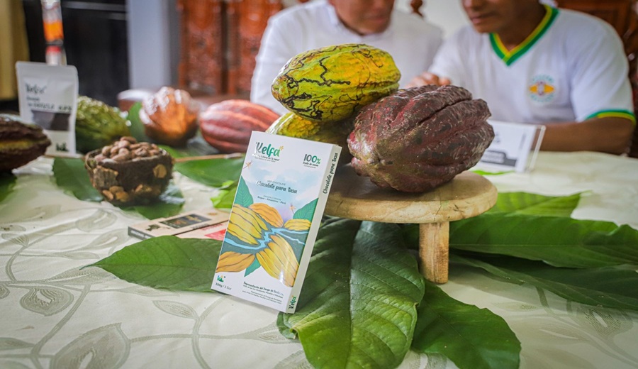 Amazonas Europa pone la mira en el cacao nativo durante primer Festival Regional de Cacao y Chocolate