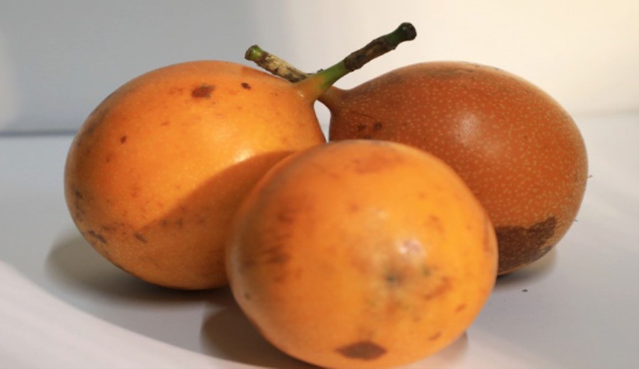 Conoce los beneficios de la granadilla para el sistema nervioso y la presión sanguínea