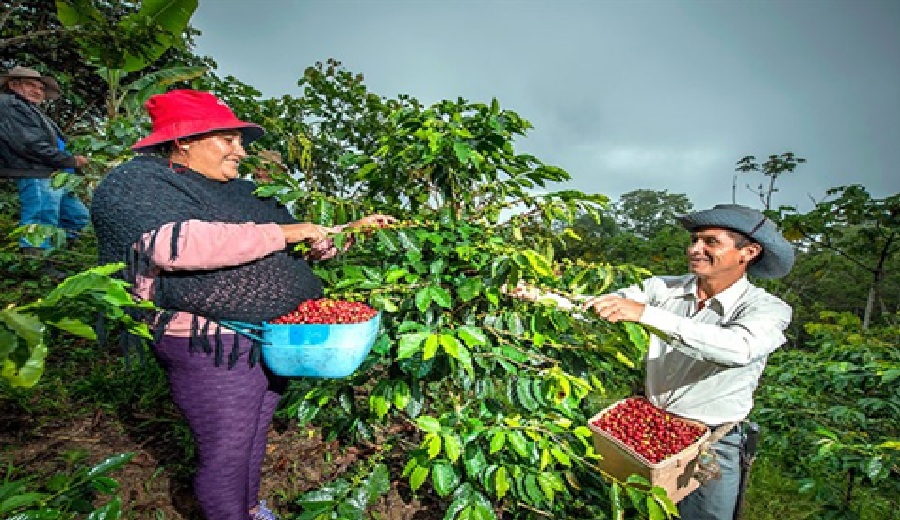 El sector agropecuario creció 4% hasta marzo