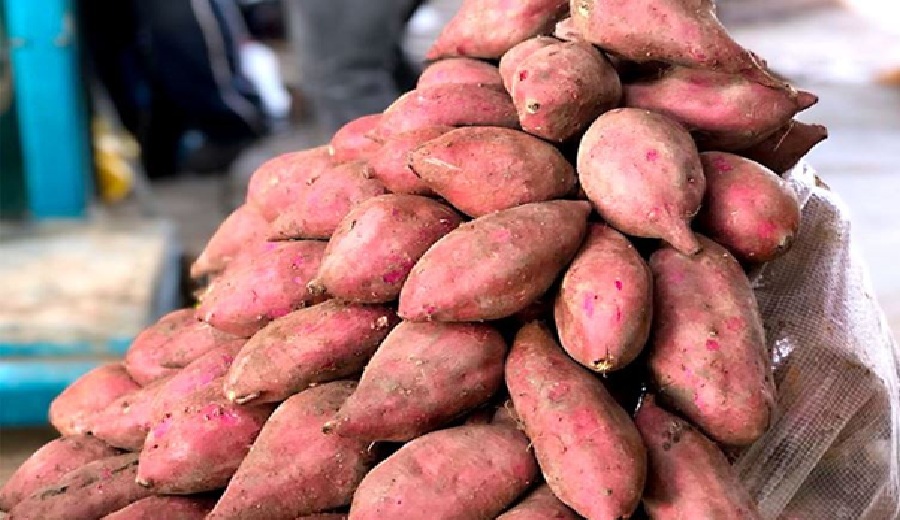 En los mercados mayoristas hubo ofertas de camote, papa, zapallo, tuna, uva, papaya y otros