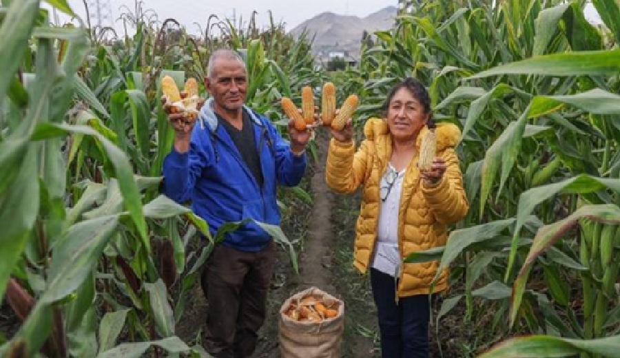 Gobierno publicó proyecto de Ley de Reconversión Productiva Agropecuaria para cofinanciar programas en favor de la agricultura familiar