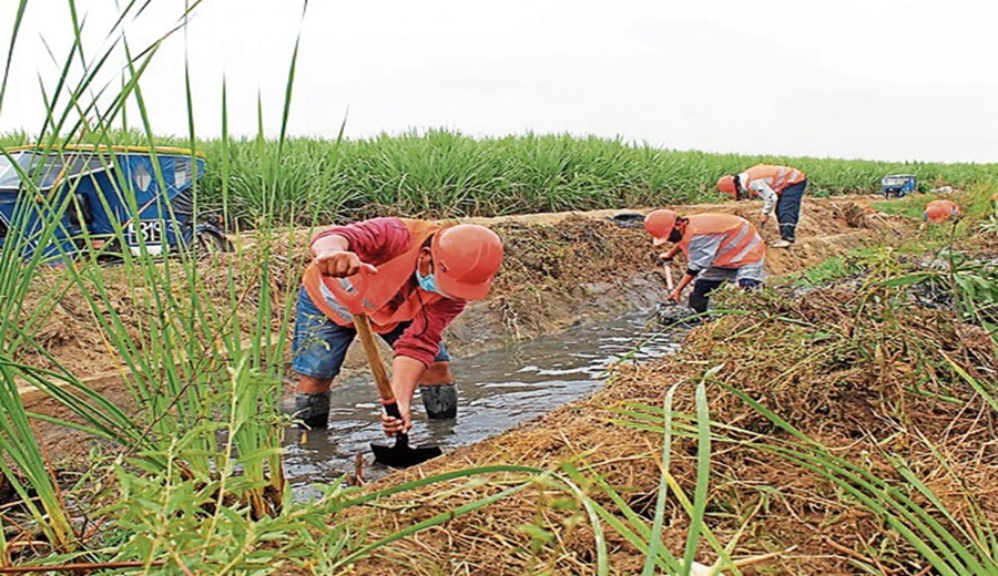 Gremios agrarios exigen destitución en Midagri por incumplimientos en infraestructura
