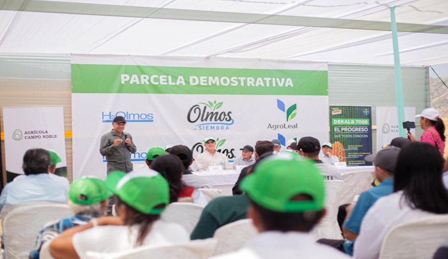 H2Olmos lanza Olmos Siembra, proyecto piloto para impulsar la agricultura sostenible en el valle