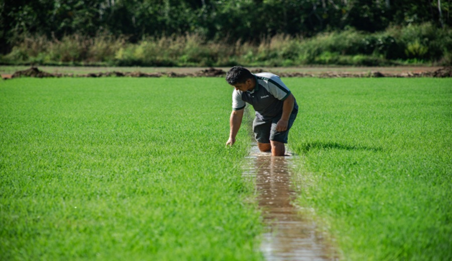 MIDAGRI Esta semana inicia Encuesta Nacional de Intenciones de Siembra para la campaña agrícola 20252026