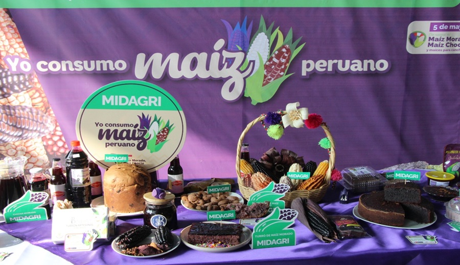 MIDAGRI Gobierno promueve el desarrollo de los pequeños productores de maíz, destacando la biodiversidad e innovación agraria